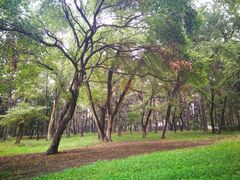 -长春市南湖公园