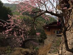 iphone_upload_pic-林坑古村落
