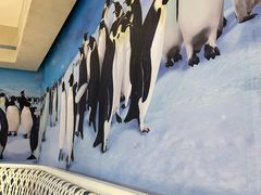 -帝企鹅自助餐厅•儿童岛•真企鹅(长隆企鹅酒店)