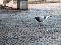 -宝通禅寺