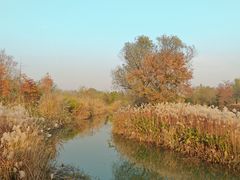 -西溪国家湿地公园