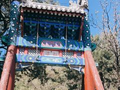 -香山公园
