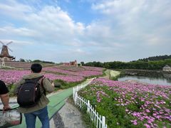 -大塘金香草谷