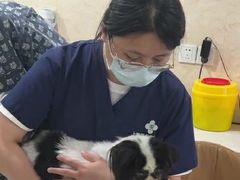 -思琪宠物医院(昆山花桥店)