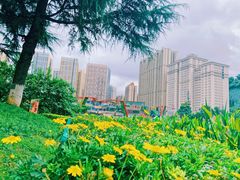 -花果园湿地公园