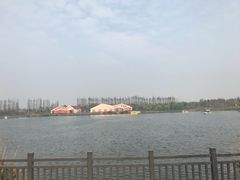 -上海长兴岛郊野公园