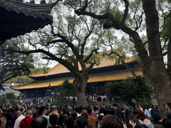 -普陀山慧济禅寺