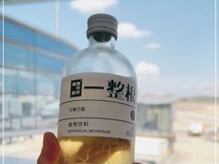 -广州白云国际机场-T2航站楼