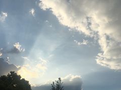 -吴淞炮台湾湿地森林公园烧烤区