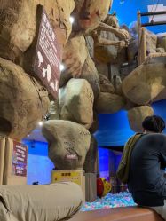 -卡通尼·Safari非洲探索乐园·生日会(金桥国际商业广场店)