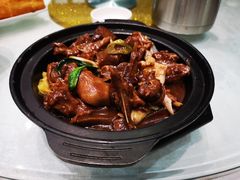 -鹅城
