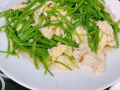 -范记靖远羊羔肉(博物馆店)