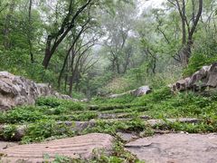 -阳台山自然风景区