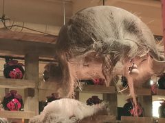 -泥糊破店小酒馆·团建聚餐(南京西路店)