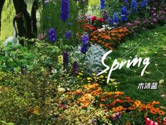 -上海共青森林公园