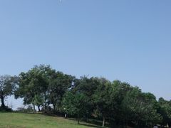 景点-钟山体育运动公园