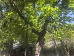 -潭柘寺景区