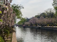 -元大都城垣遗址公园
