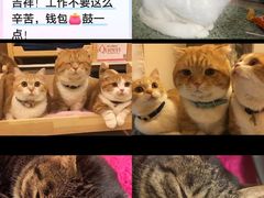 -紫荆广场·花漫里