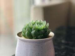 -舟山希尔顿酒店