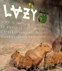 -Zoolung Zoolung动物主题公园(海信广场店)