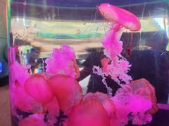 -横店影视城梦幻谷园区