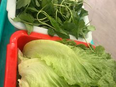 菊花苗-正能量脆肉鲩火锅