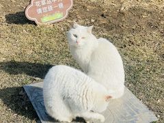 -北京鲁迅博物馆(北京新文化运动纪念馆鲁博馆区)