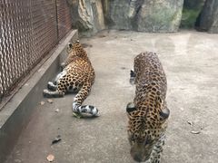 -南昌动物园