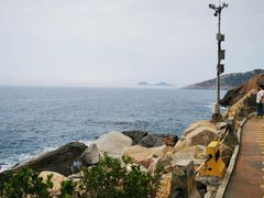 -广东惠东海龟国家级自然保护区