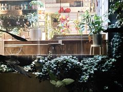 -谷咖啡·鲜花绿植花园餐厅