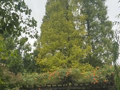 -白马涧龙池景区