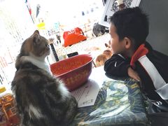 -平行世界·猫咖(首经贸店)