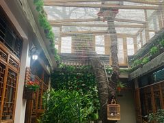 -丽江庭院·云南野生菌·海鲜火锅(鼓楼四合院店)