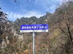 -王顺山国家森林公园