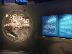 -贝林大翅鲸简餐厅(国家海洋博物馆店)