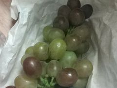 -马陆小张葡萄园农家乐