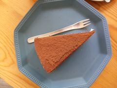 -有猫主题·治愈系猫咖(曾厝垵店)