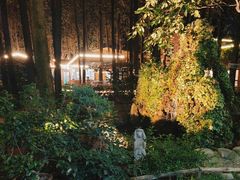 -林间山庄