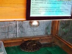 -上海大自然野生昆虫馆(东方明珠·爬宠昆虫探索中心)