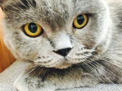 -芭比堂动物医院·犬猫全科·异宠专科(雁塔分院)