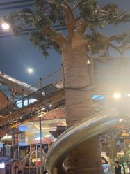 -卡通尼·Safari非洲探索乐园·生日会(金桥国际商业广场店)