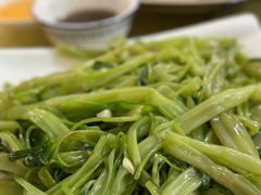 -烧鹅妹饭店