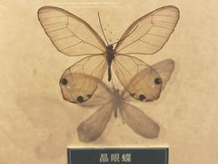 -陕西自然博物馆