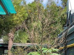 -湖南别院·美学庭院餐厅(惠阳店)