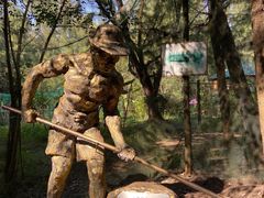 -北海金海湾红树林生态旅游区