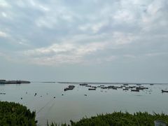 -烟墩角天鹅湖