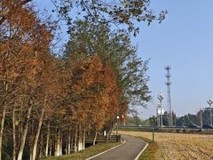 -桤木河湿地公园