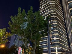 -上海小南国(正大店)