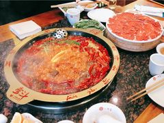 -一斗火锅·招财羊毛肚(上河城店)
